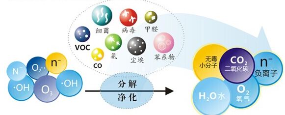 光触媒分解