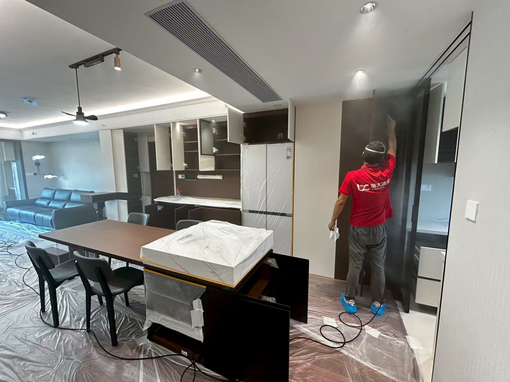 武汉冰虫除甲醛工程师